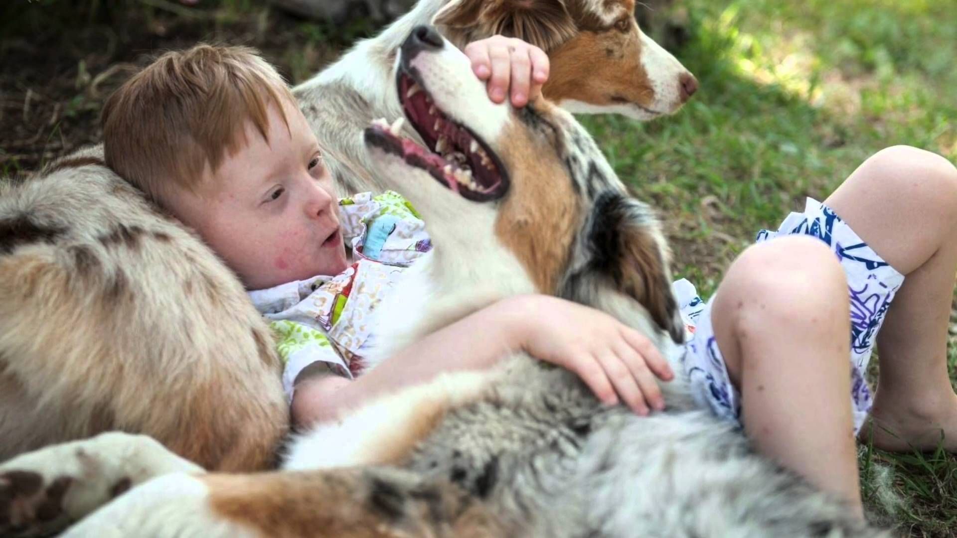 Животные-целители: пет-терапия для детей с ДЦП